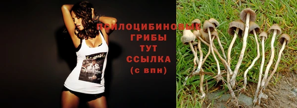 ешки Магадан