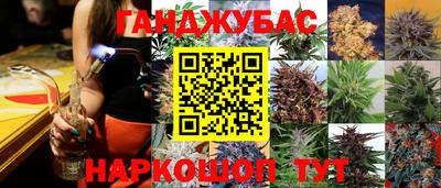 стаф Абинск