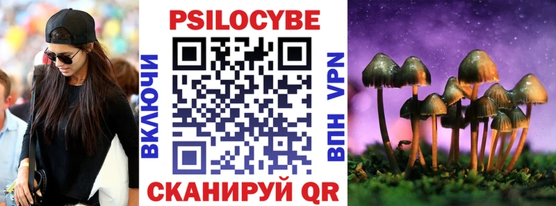 Галлюциногенные грибы Cubensis  это официальный сайт  Тайшет  купить наркотики цена 